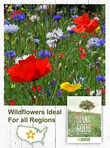 American Meadows Wildflower Seed Packets Doing Good Through Gardening
