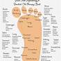 Foot Chart For Essential Oils