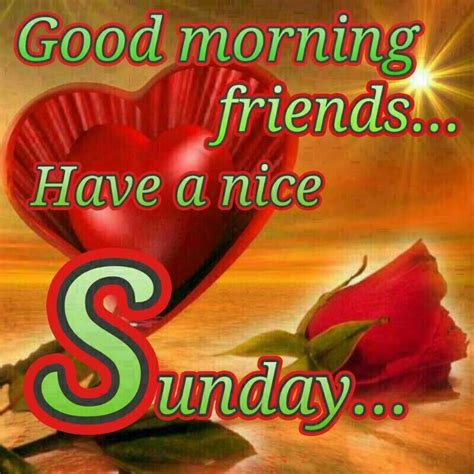 Good Morning Sunday Friends Pictures Photos And Images