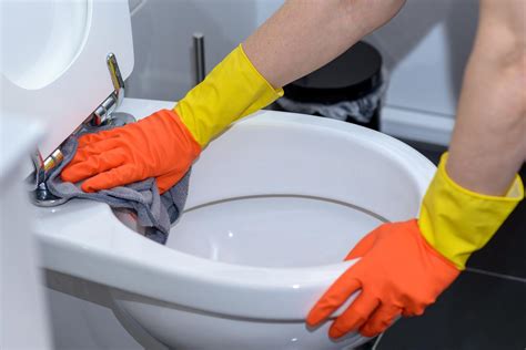 Toilet Cleaning Why You Shouldnt Use Bleach According To An Expert 7news