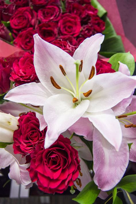 Be Mine Romantic Flowers Prestige Flowers Most Beautiful Flowers