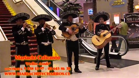 Mariachis A Domicilio Mariachis Y Charros Calicanto Cielito Lindo