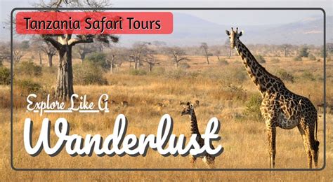 Tanzania Safari Tours Safari Tour Tanzania Safari Safari