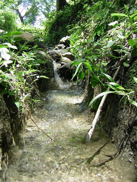 Nacimiento De Agua En Sn Antonio Los Ranchos Chalatenango El