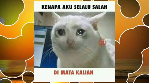 Check spelling or type a new query. Meme Kucing Sedih - Meadow Dixon