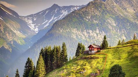 4567430 Sky Landscape Snowy Peak Trees Nature Grass