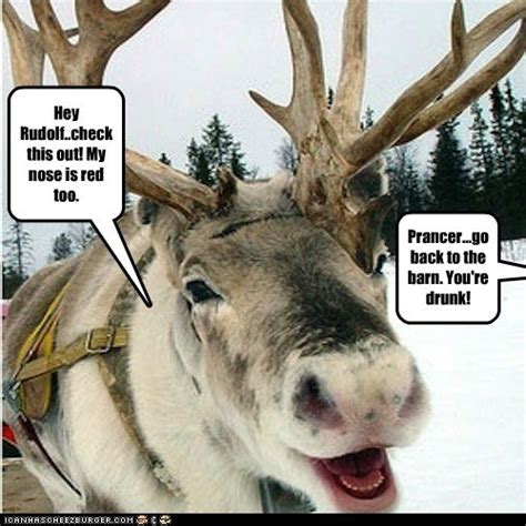 Reindeer Memes Gallery Ebaum S World