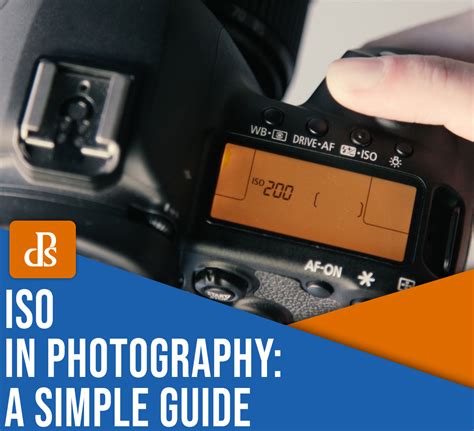 What Is ISO? A Simple Guide to ISO in Photography