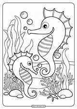 Seahorse Coloringoo Seahorses sketch template