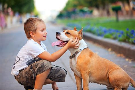 Keeping Children Safe Around Dogs