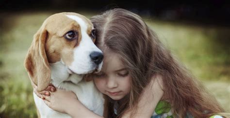 Study Shows That Dogs Know To Comfort Us When We Cry