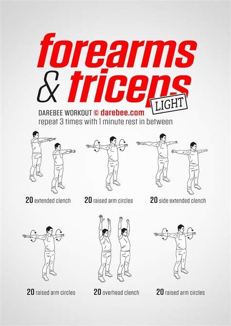 Forearms And Triceps Workout Bicep And Tricep Workout Biceps Workout