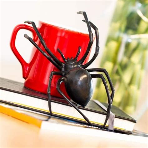 Black Widow Spider Lb Fred Meyer