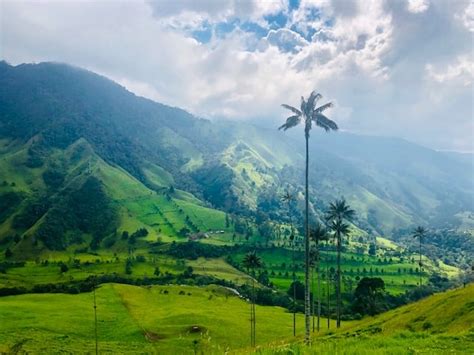 Hiking Cocora Valley The Top Thing To Do In Salento My Flying Leap