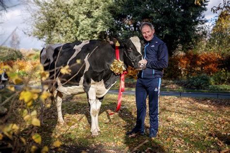 Watch Jim Gavin Takes A Cow For A Stroll Around Dublin Agriland Ie