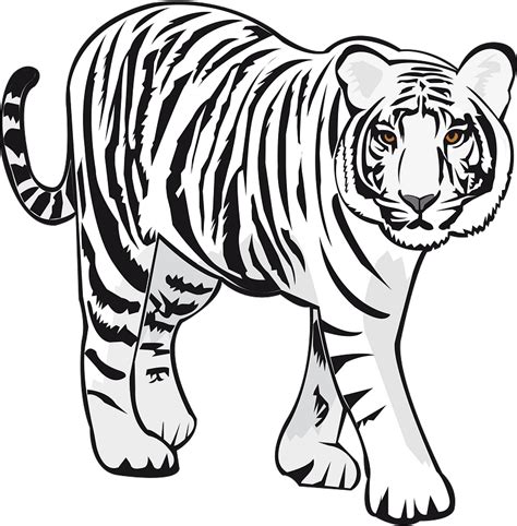 White Tiger Clipart Free Download Transparent Png Creazilla