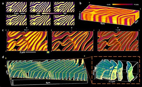 Fig S2 Tomographic Afm Reveals 3d Curvature Of Domain Patterns In