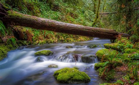 Free Images Landscape Tree Nature Rock Waterfall Creek