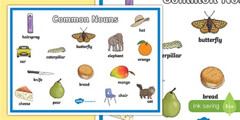 Common Nouns Display Poster Teacher Made Twinkl