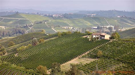 Piedmont Wine Truffles Tour The Wine Travel Specialist Bkwine