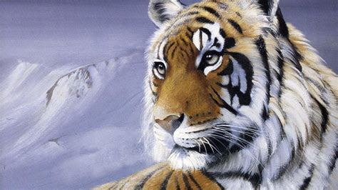 Face Of The Tiger Wallpaper Nature And Landscape Wallpaper Better