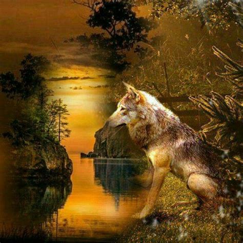 Wolf Images Wolf Pictures Baby Animals Pictures Beautiful Wolves