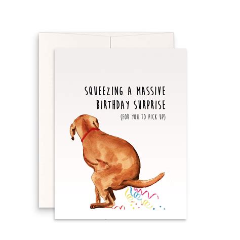 Naughty Lab Dog Birthday Card Funny Squeeze Massive Surprise Etsy