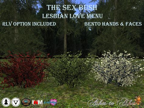 The Sex Bush Just For The Girls These Bushes Contain Plent Flickr