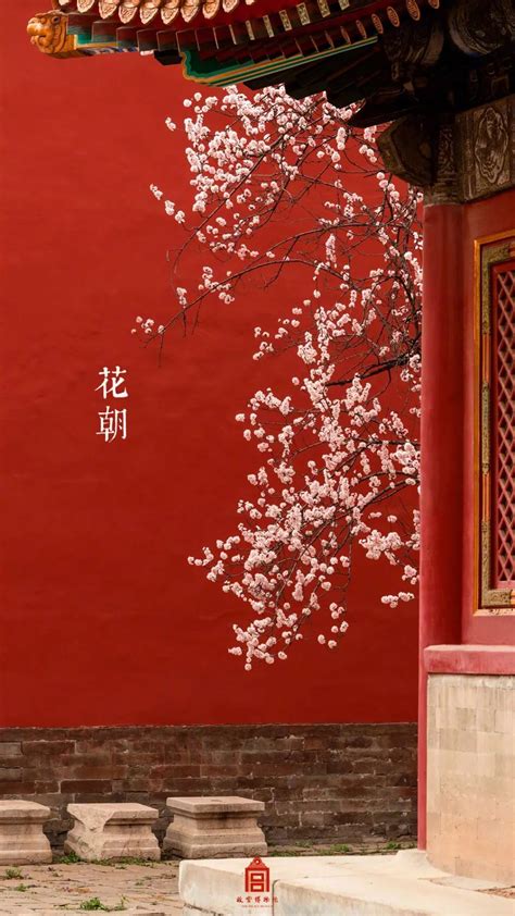 Ancient China Aesthetic Japan Aesthetic Red Aesthetic Chinese