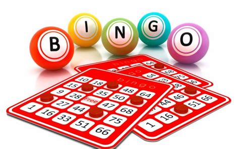 How To Play The Bingo Game 100 Tested Guide For Beginners