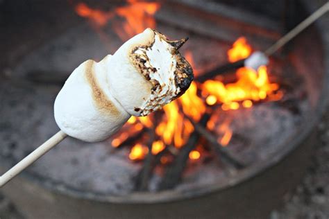 National Toasted Marshmallow Day Just Brennon Blog Toasted