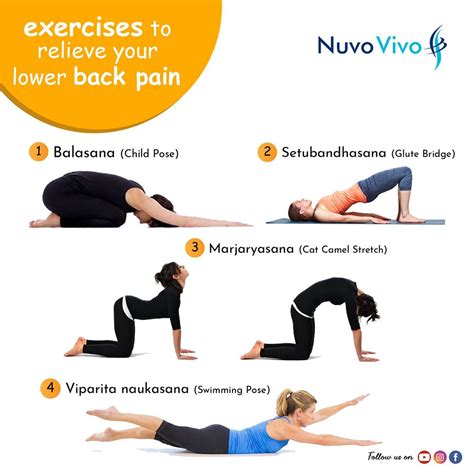 Exercises To Relieve Lower Back Pain Stretches To Reduce Back Pain