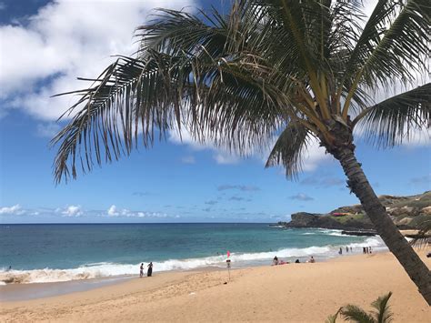 Sandy Beach In Honolulu Expedia