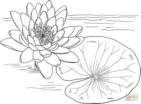 Maybe you would like to learn more about one of these? Pin on coloring 6