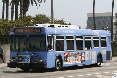 New Flyer D40lf Der City Of Santa Monica Big Blue Bus 3838