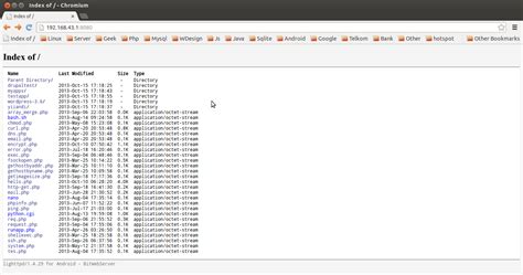 Bit Web Server Screenshots