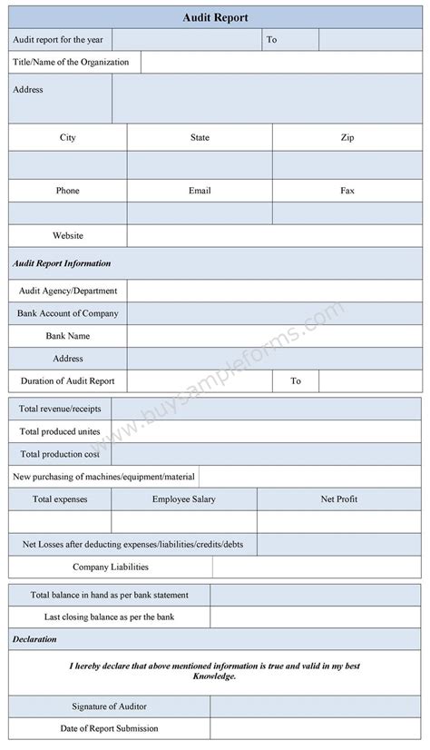 An example of our online technical audit report. Audit Report Form