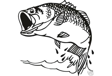 Bass Boat Coloring Pages at GetColorings.com | Free printable colorings