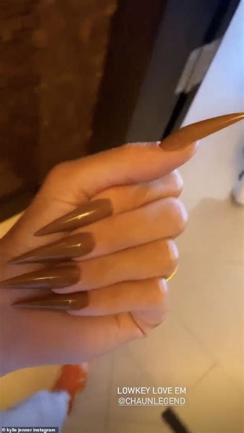 Kylie Jenner Matches Her Brown Manicure To An 80k Crocodile Hermes