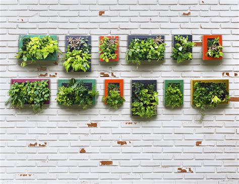 How to design the perfect vegetable garden for any space