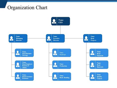 Organization Chart Ppt Examples Powerpoint Shapes Powerpoint Slide