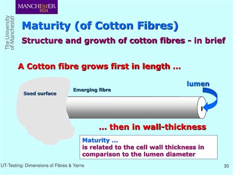 Ppt Dimensions Of Fibres And Yarns Basic Concepts Units And Unit Systems