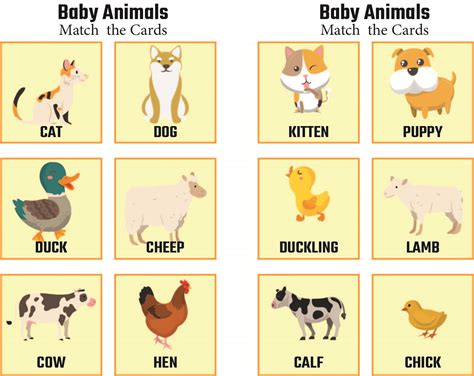 5 Best Images Of Baby Animals Matching Printables Mother And Baby