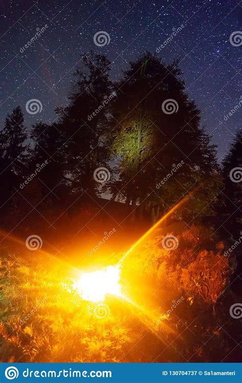 Beautiful Starry Night Sky The Milky Way Over Summer Trees Stock Image