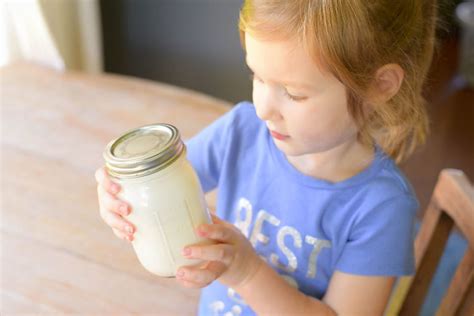 How To Make Ice Cream In A Mason Jar Our Handcrafted Life