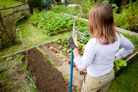 Cultivating Your Inner Garden Weeding Pruning And Reviewing Your