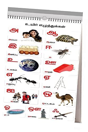 Buy Tamil And English Wall Charts 12 Charts Back To Back 37 X 48 Cm