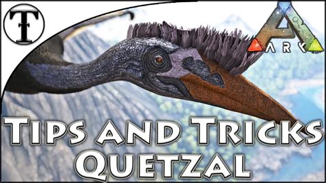 Fast Quetzal Taming Guide Ark Survival Evolved Tips And Tricks