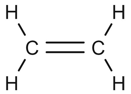 C2h4 Lewis Structure - learn.lif.co.id