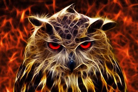 Fire Owl Fractals Owl Fractal Art